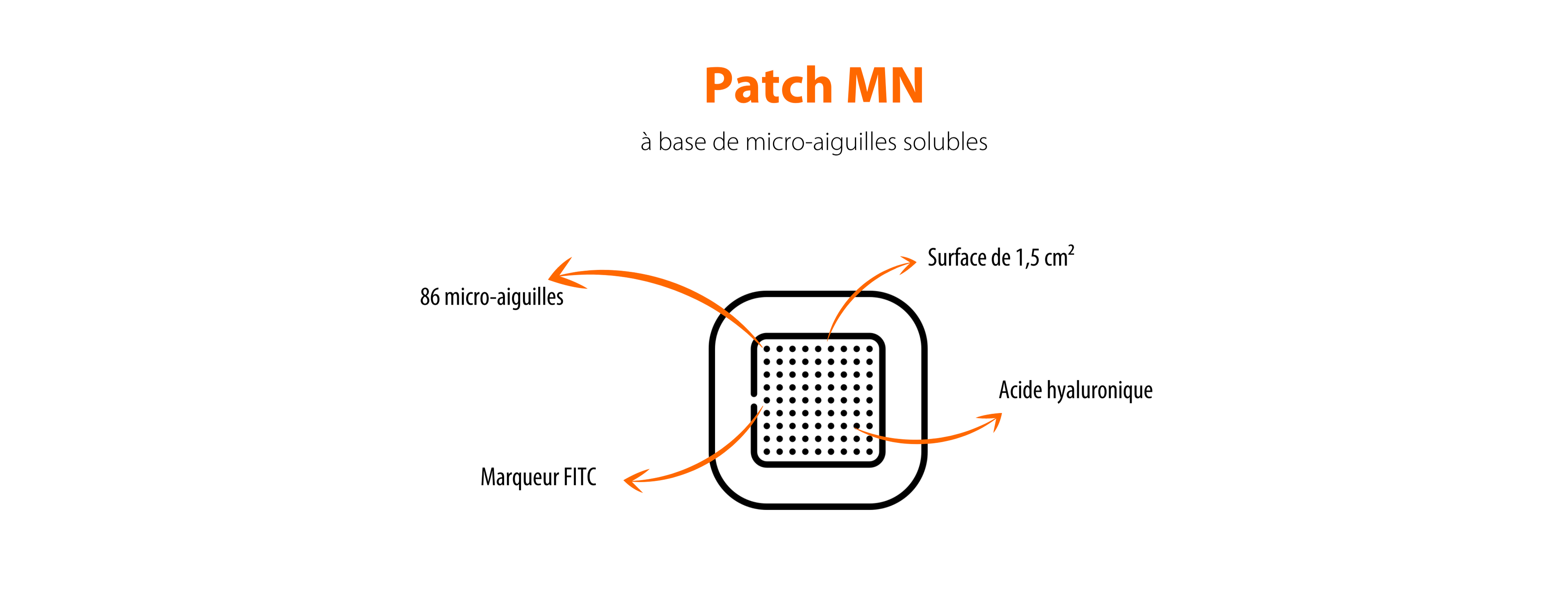 Patch MN